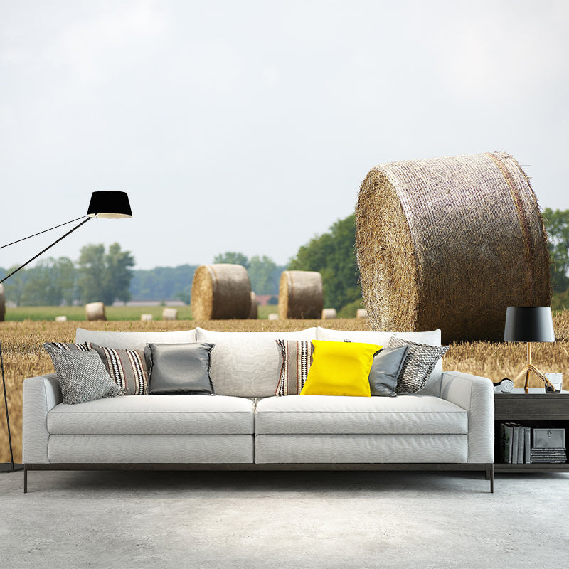 Straw Bales Mural Wallpaper Moisture Resistant Wall Decor for House Interior