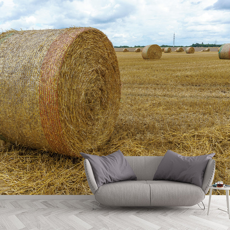 Straw Bales Mural Wallpaper Moisture Resistant Wall Decor for House Interior