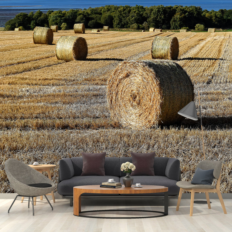Straw Bales Mural Wallpaper Moisture Resistant Wall Decor for House Interior