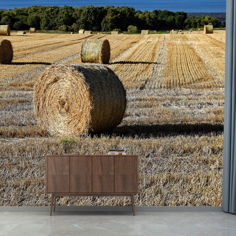 Straw Bales Mural Wallpaper Moisture Resistant Wall Decor for House Interior