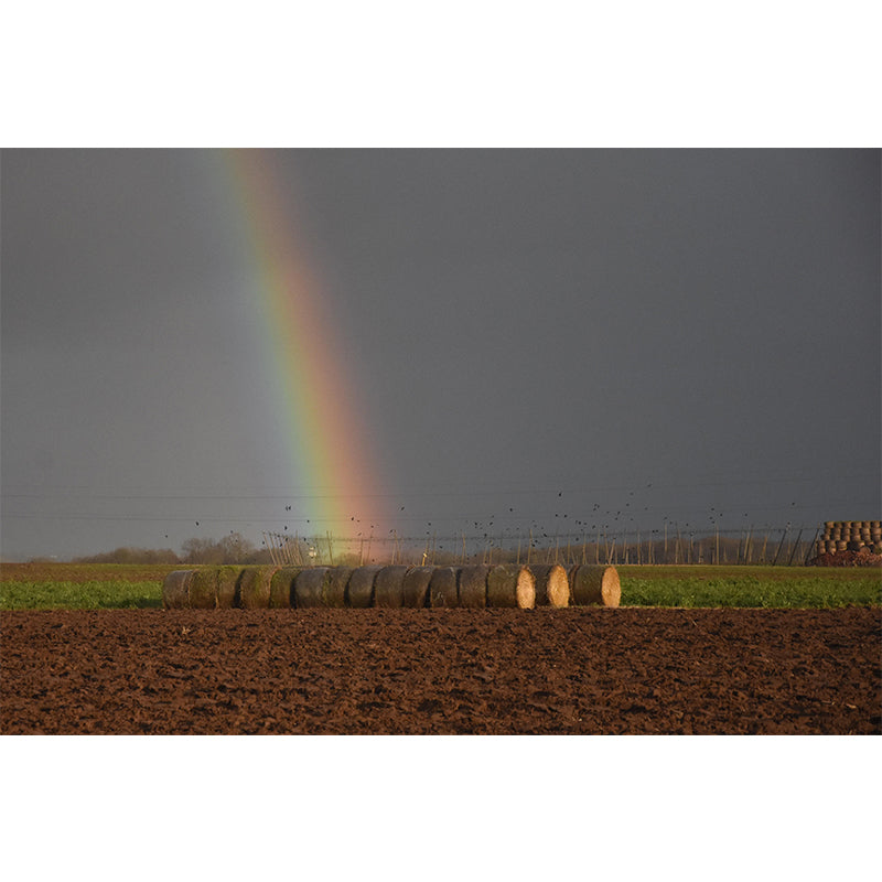 Dry Straw Bales Mural Horizontal Photography Eco-friendly for Decoration