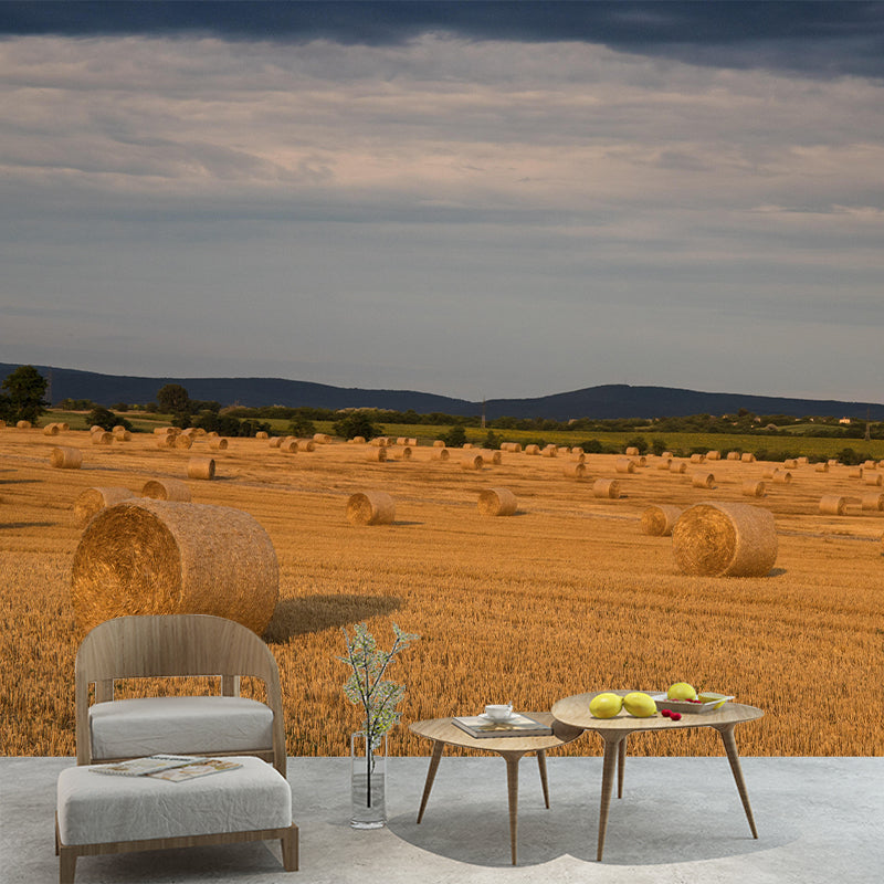 Customized Straw Bales Mural Environment Friendly Wallpaper for Decoration