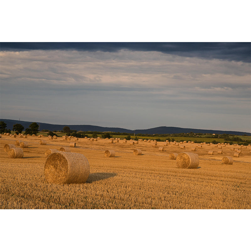 Customized Straw Bales Mural Environment Friendly Wallpaper for Decoration