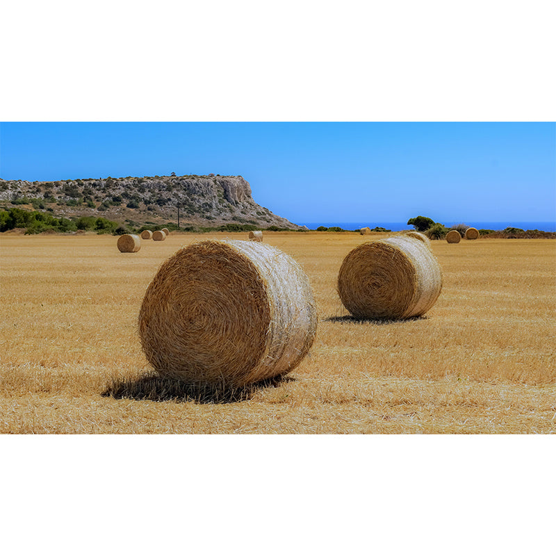 Dry Straw Bales Mural Horizontal Photography Eco-friendly for Dining Room