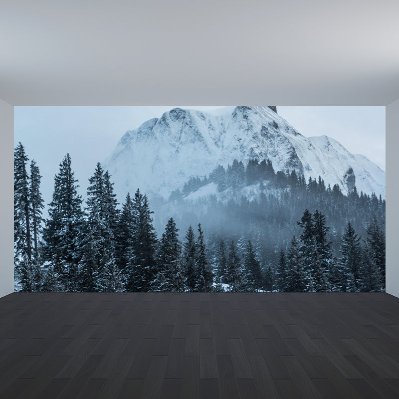 Mountain Landscapes Wall Mural Eco-friendly Wall Decor for House Interior
