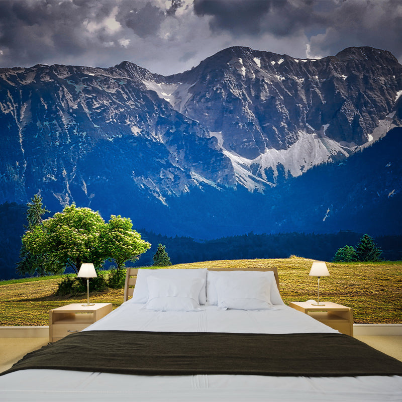 Magnificent Mountain Landscapes Mural Photography Style for Dining Room