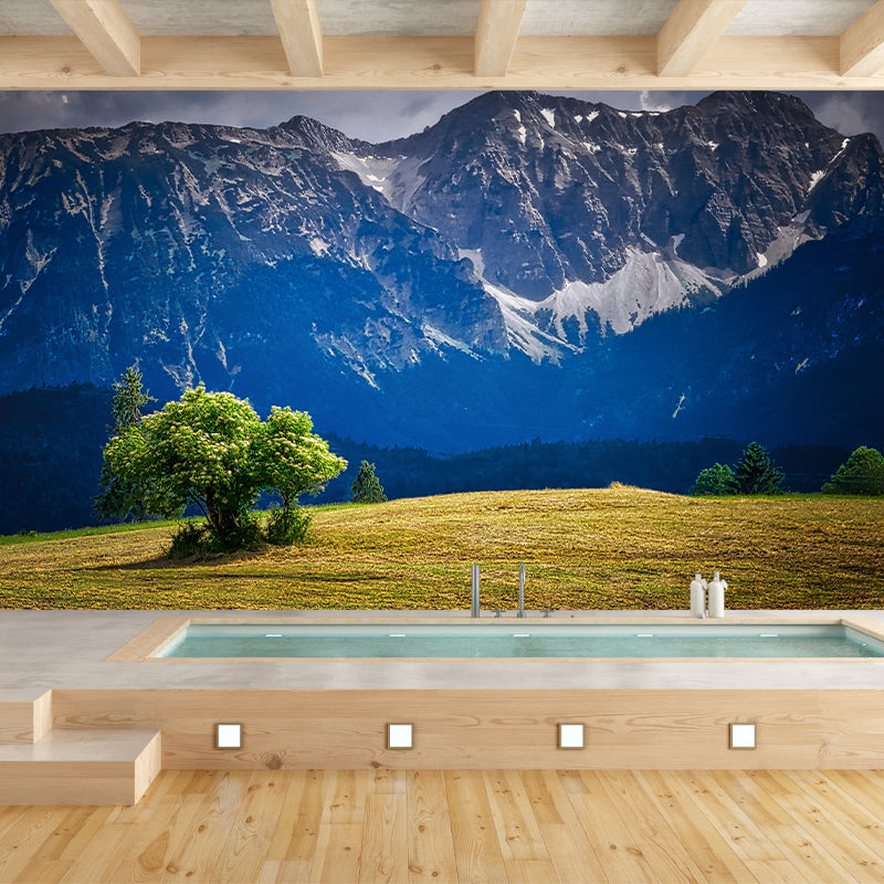 Magnificent Mountain Landscapes Mural Photography Style for Dining Room