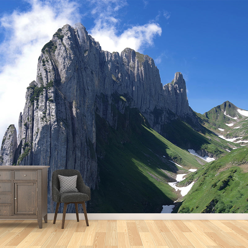 Mountain Landscapes Mural Moisture Resistant Wall Decor for House Interior