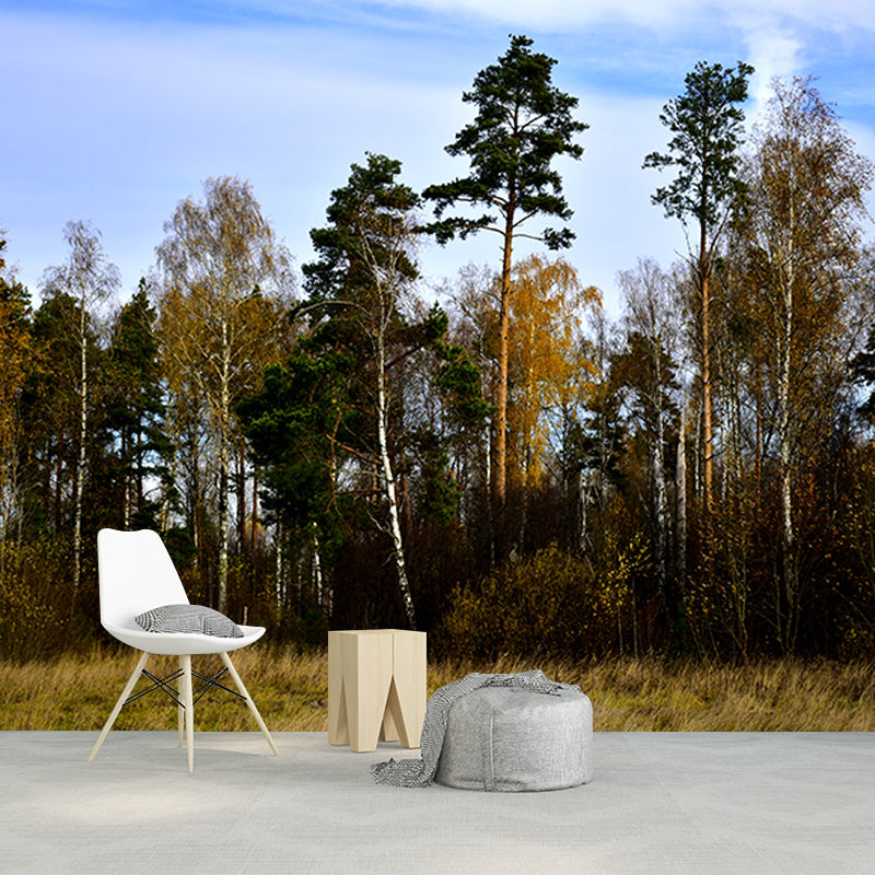 Forest Photo Wall Mural for Living Room Bedroom Wall Decor, Made to Measure