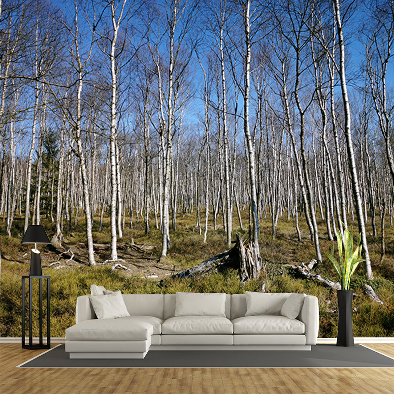 Autumn and Winter Forest Scenery Mural Wallpaper for Home Decor, Moisture Resistant