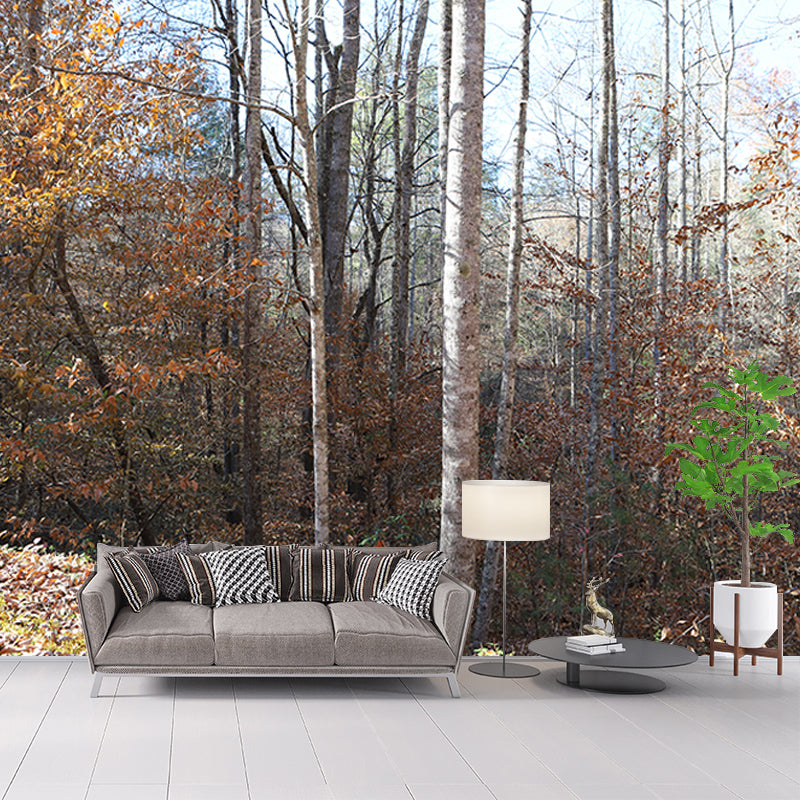 Autumn and Winter Forest Scenery Mural Wallpaper for Home Decor, Moisture Resistant