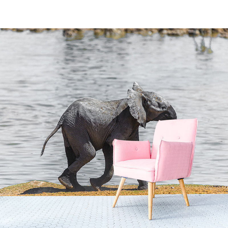 Wild Elephant Animal Mural Wallpaper for Sitting Room, Moisture Resistant