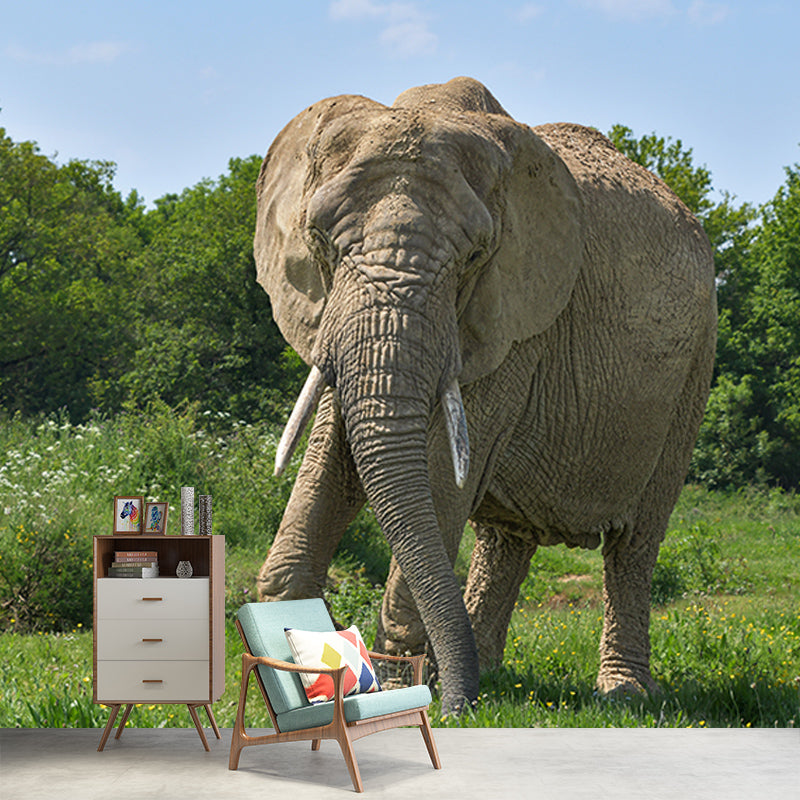 Wild Elephant Animal Mural Wallpaper for Sitting Room, Moisture Resistant