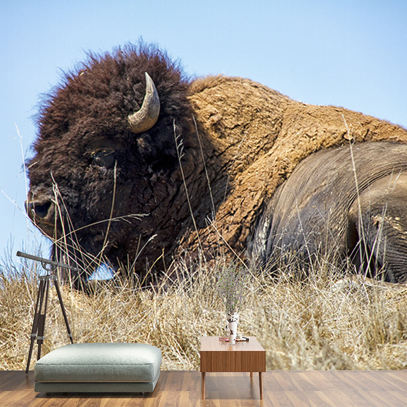Bison Animals Mural Wallpaper for Sitting Room Decoration, Made to Measure