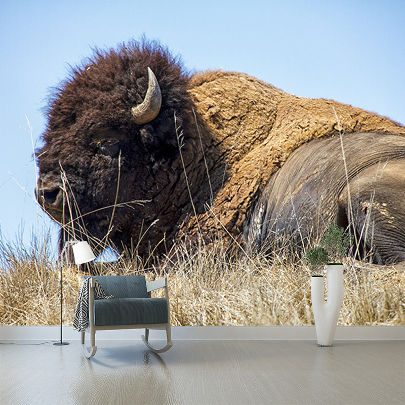Bison Animals Mural Wallpaper for Sitting Room Decoration, Made to Measure