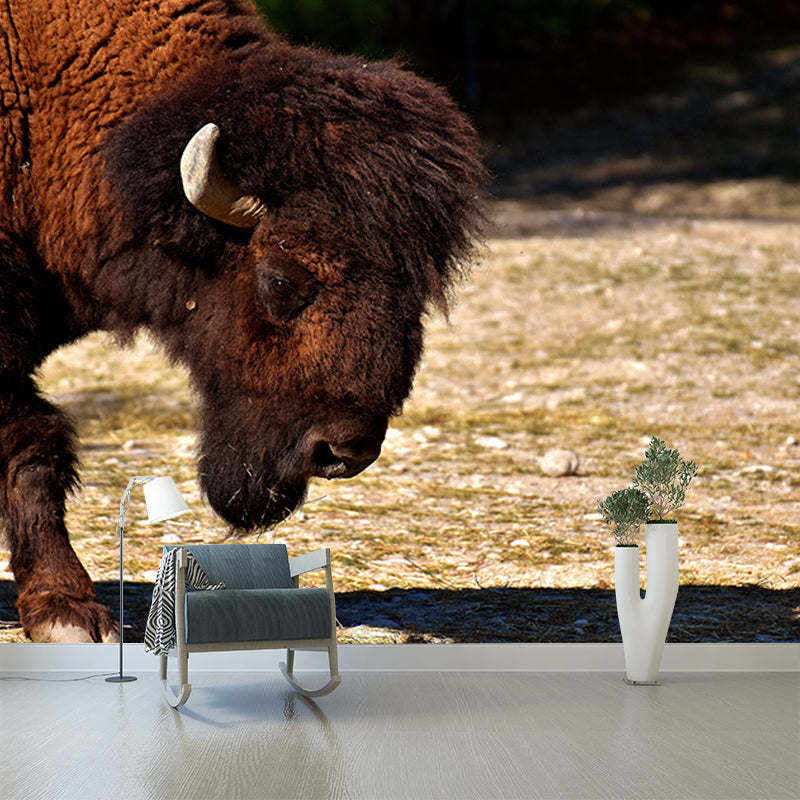 Bison Animals Mural Wallpaper for Sitting Room Decoration, Made to Measure