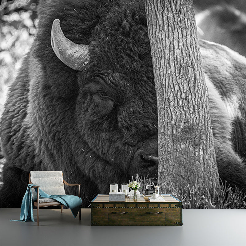 Bison Animals Mural Wallpaper for Sitting Room Decoration, Made to Measure