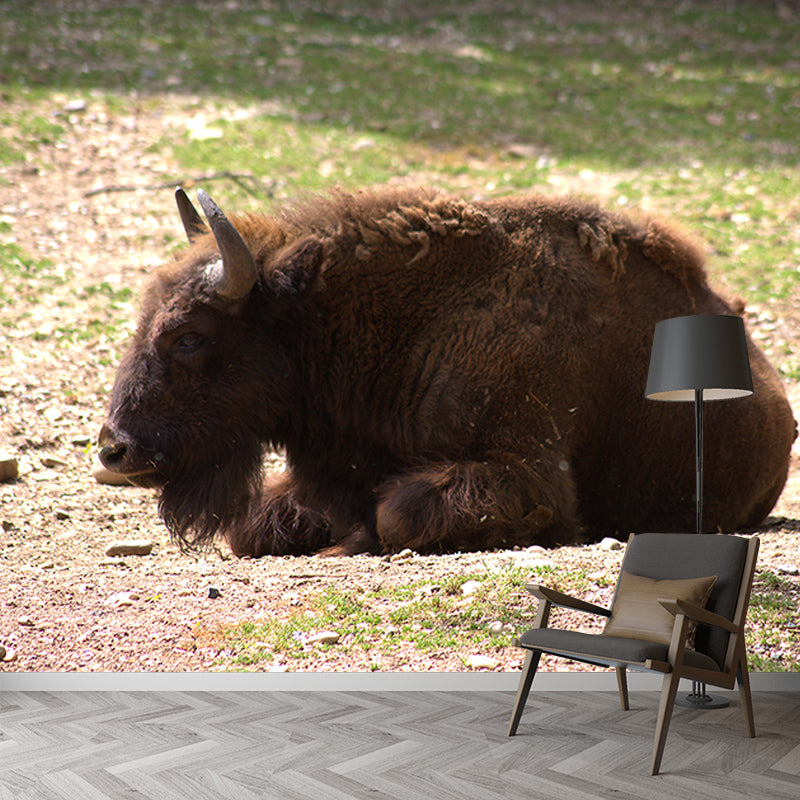 Bison Animals Mural Wallpaper for Sitting Room Decoration, Made to Measure
