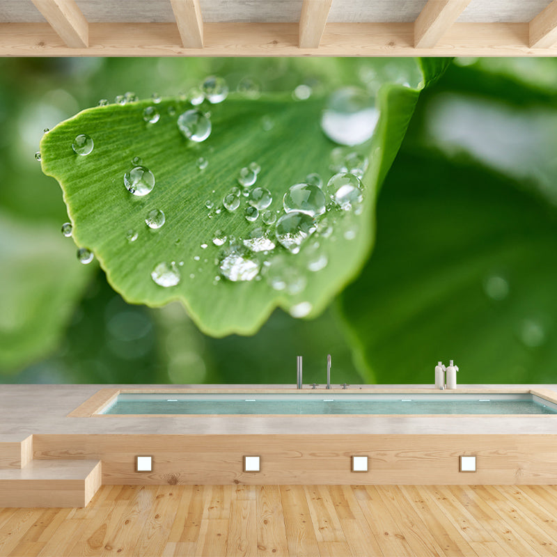 Ginkgo Biloba Plant Minimalist Wall Covering for Living Room, Customized Size