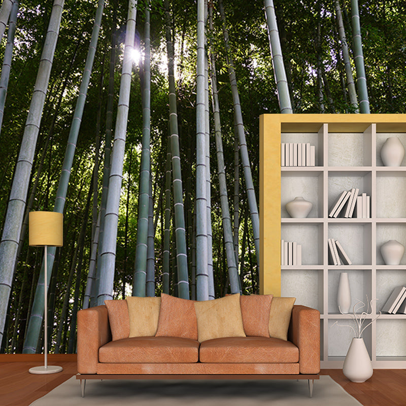 Bamboo Forest Moisture Resistant Mural for Sitting Room, Customized Size Available
