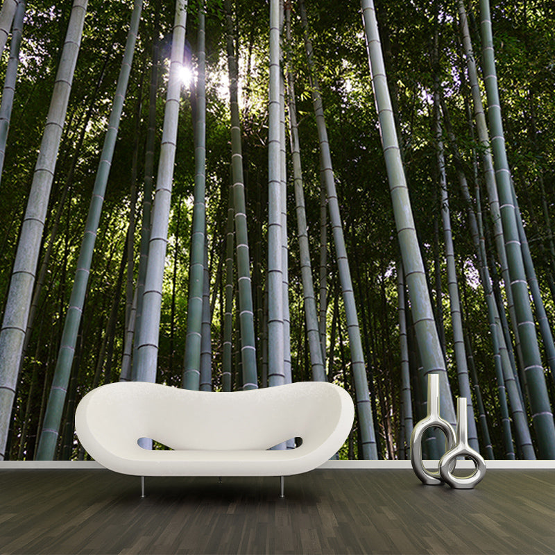 Bamboo Forest Moisture Resistant Mural for Sitting Room, Customized Size Available