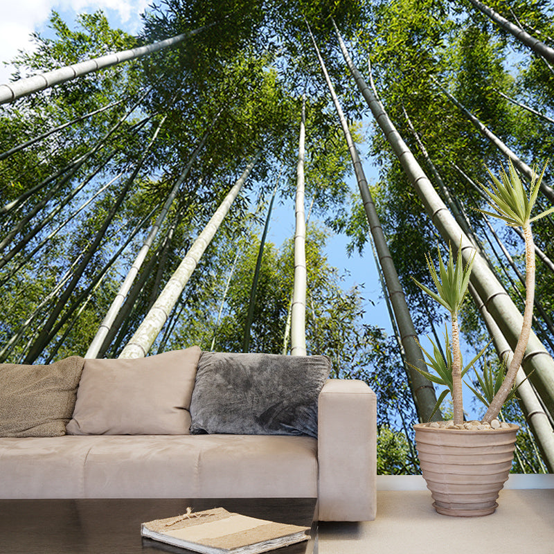Bamboo Forest Moisture Resistant Mural for Sitting Room, Customized Size Available