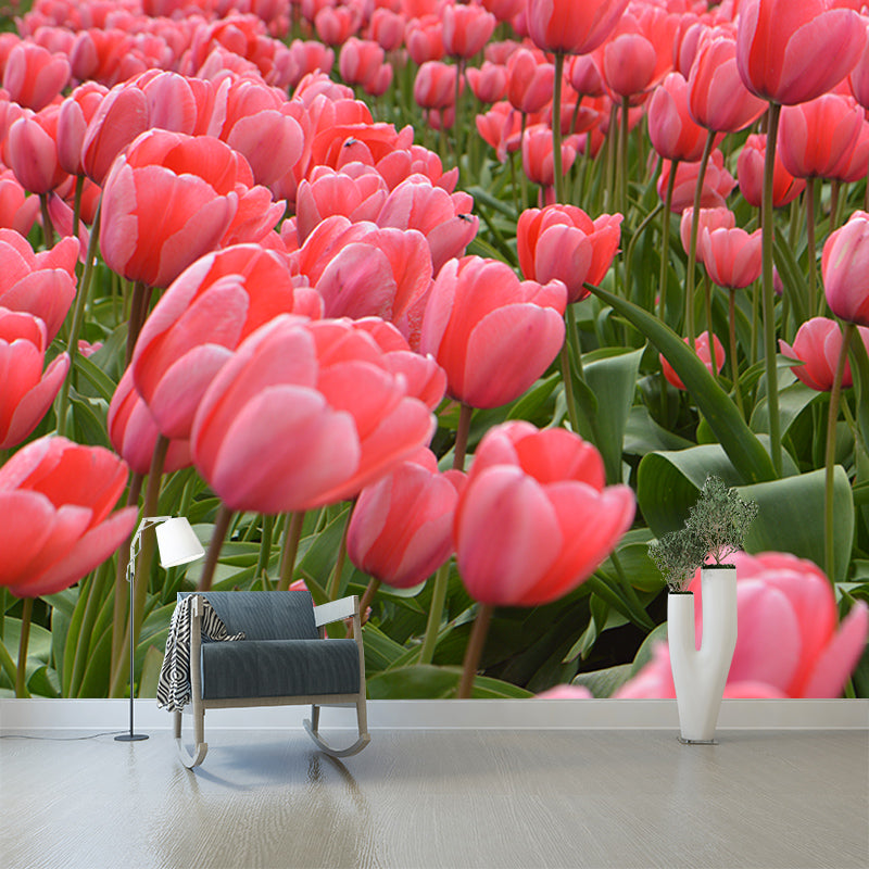 Tulip Flower Mural Wallpaper Minimalist Wall Decor, Customized Size Available
