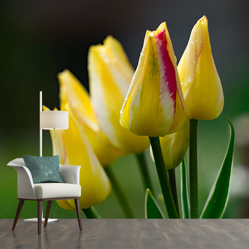 Contemporary Tulip Home Mural Mildew Resistant Wall Decor for Sleeping Room