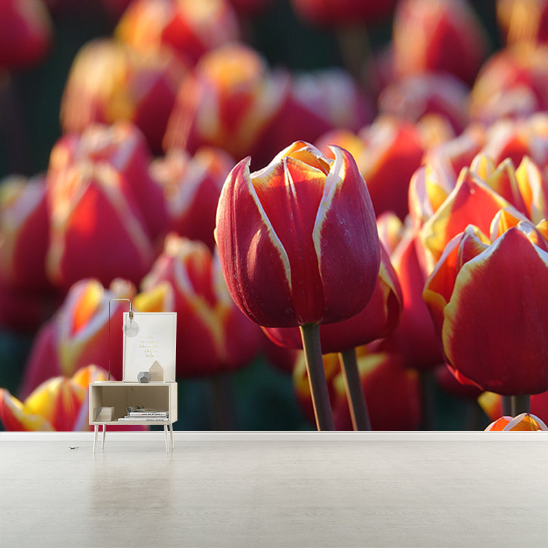 Contemporary Tulip Home Mural Mildew Resistant Wall Decor for Sleeping Room