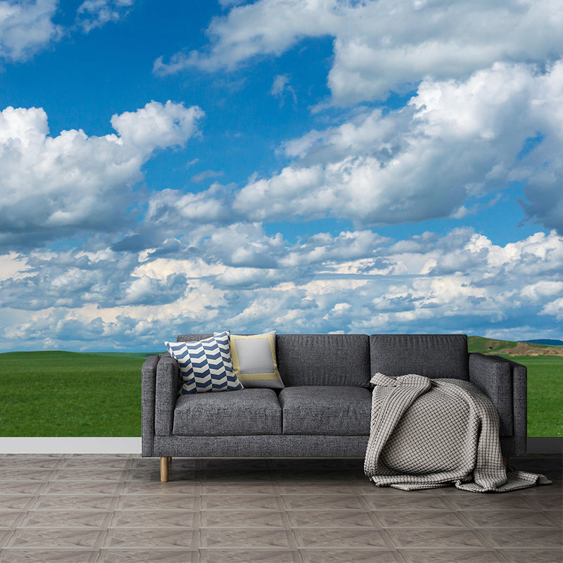 Contemporary Sky Mural Mildew Resistant Wall Covering for Living Room Decor