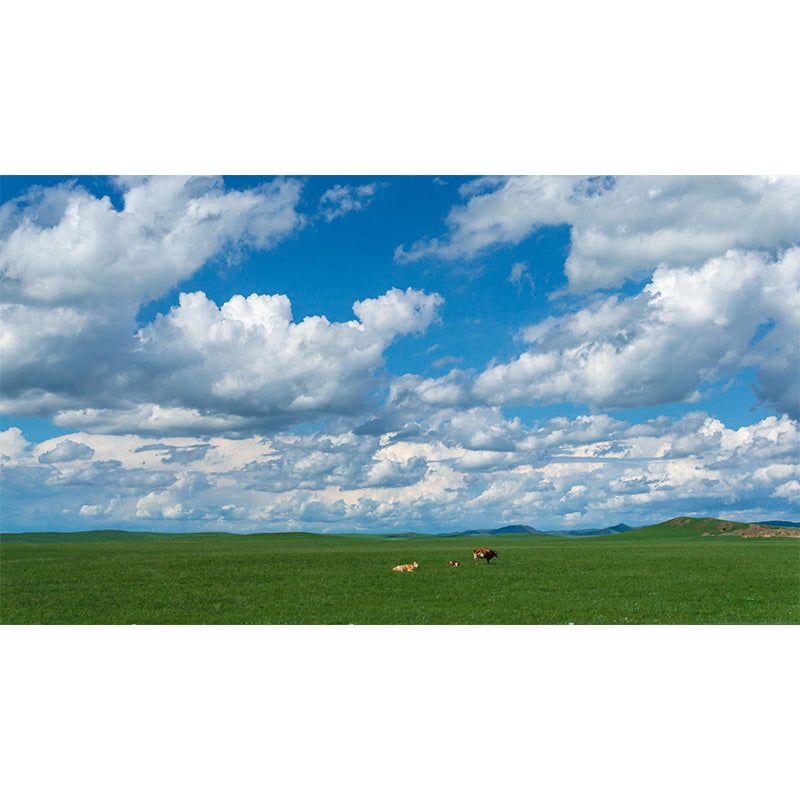 Contemporary Sky Mural Mildew Resistant Wall Covering for Living Room Decor