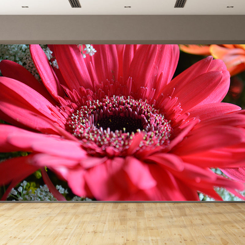 Chrysanthemum Flower Mural Wallpaper Minimalist Home Decor, Customized Size Available