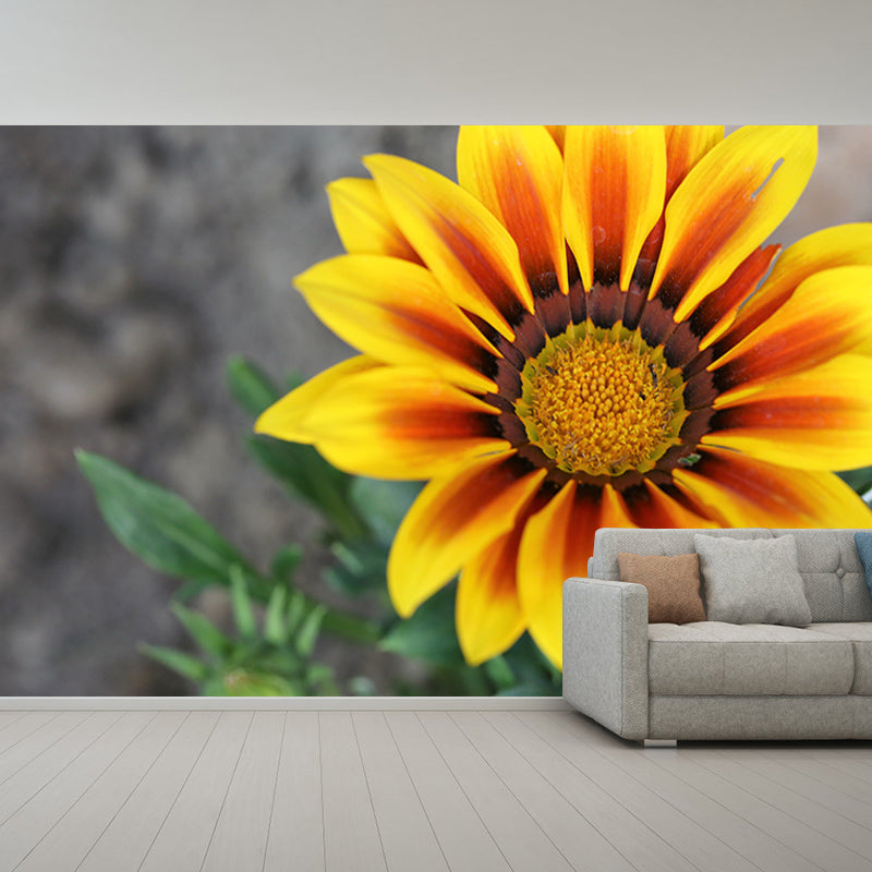 Chrysanthemum Flower Mural Wallpaper Minimalist Home Decor, Customized Size Available