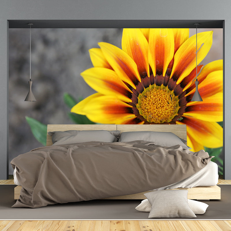 Chrysanthemum Flower Mural Wallpaper Minimalist Home Decor, Customized Size Available