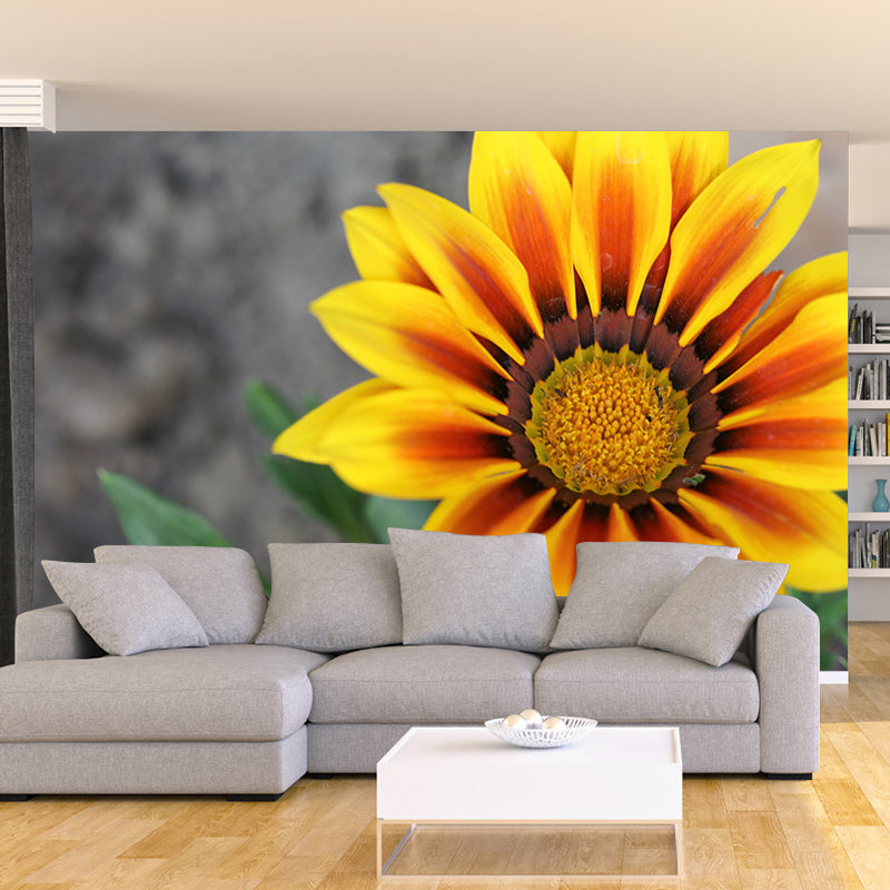Chrysanthemum Flower Mural Wallpaper Minimalist Home Decor, Customized Size Available
