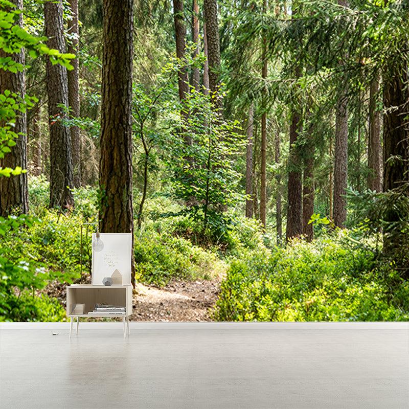 Green Forest Landscape Mural Wallpaper for Reading Room, Water Resistant