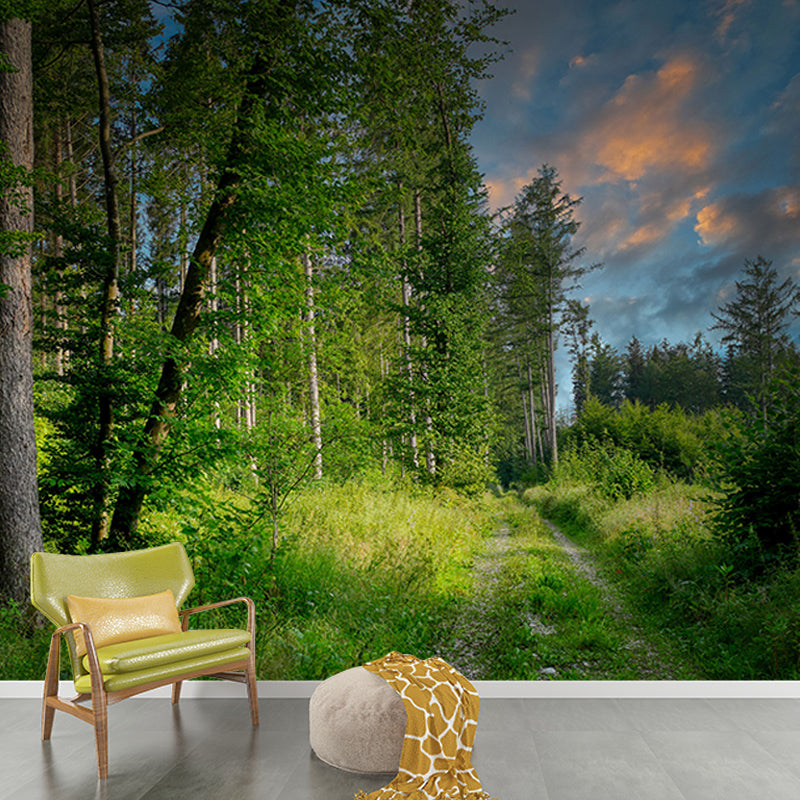 Green Forest Landscape Mural Wallpaper for Reading Room, Water Resistant