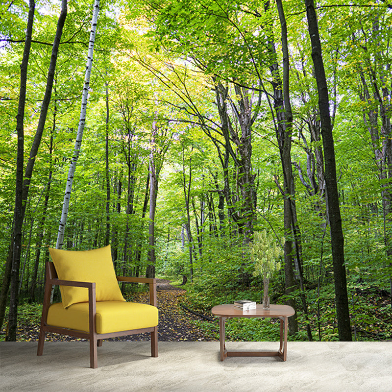 Green Forest Landscape Mural Wallpaper for Reading Room, Water Resistant