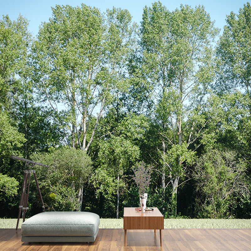 Green Forest View Wall Mural for Living Room Wall Decor, Made to Measure