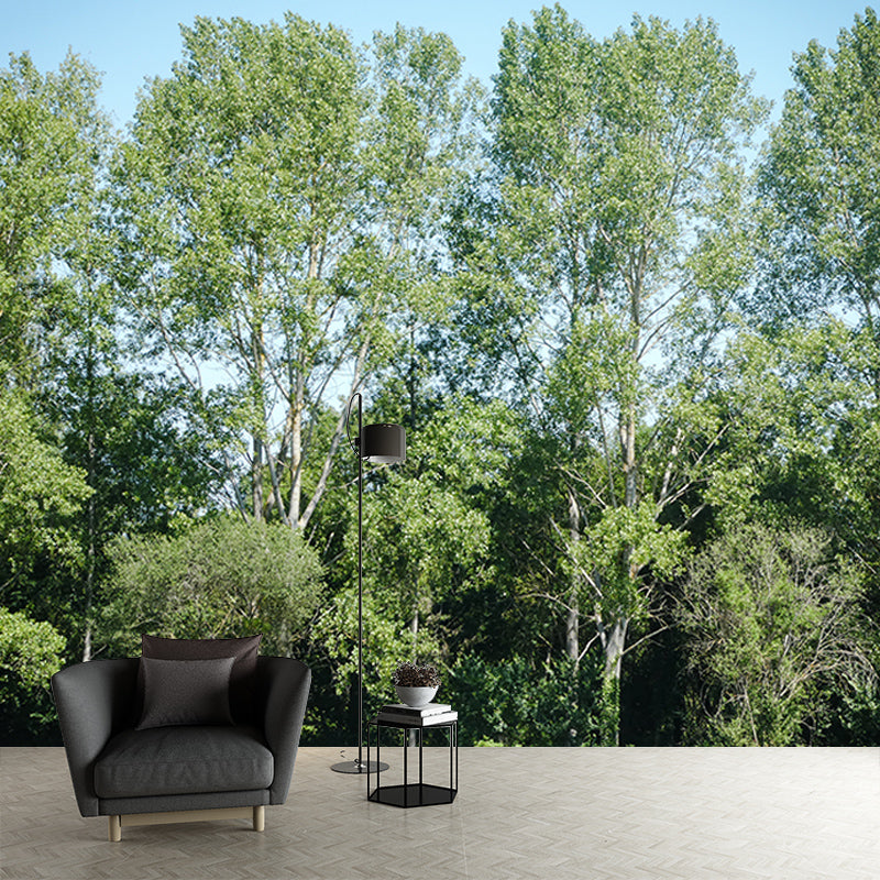 Green Forest View Wall Mural for Living Room Wall Decor, Made to Measure