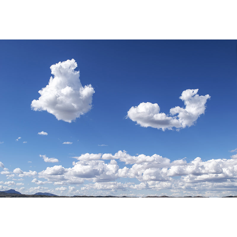 Home Decor Clear Sky Mural Decal Customized Contemporary Wall Covering