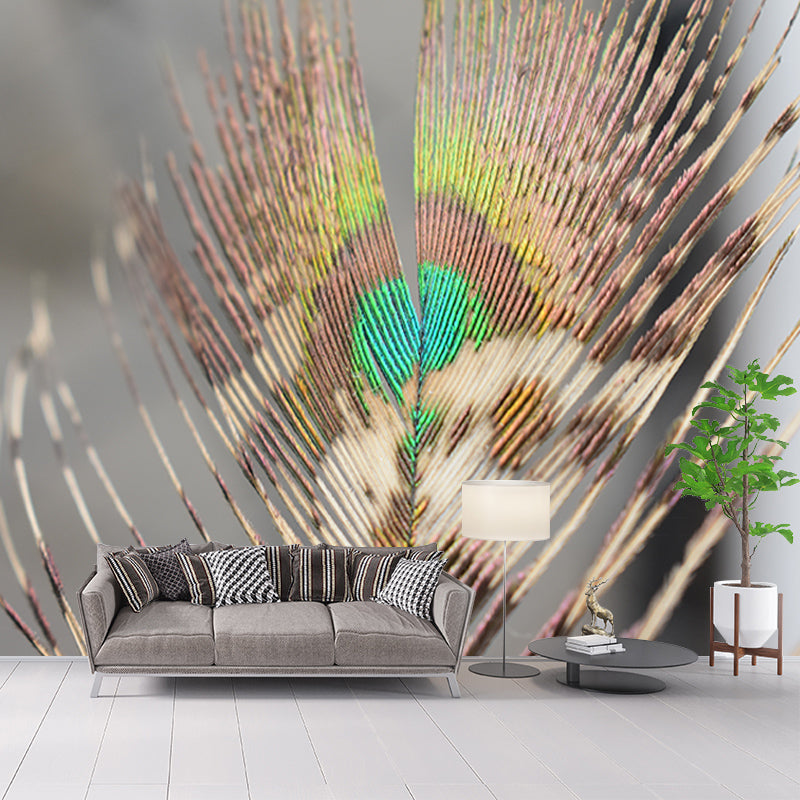 Tropical Peacock Feather Wall Covering Murals Sitting Room Wall Decor, Waterproofing