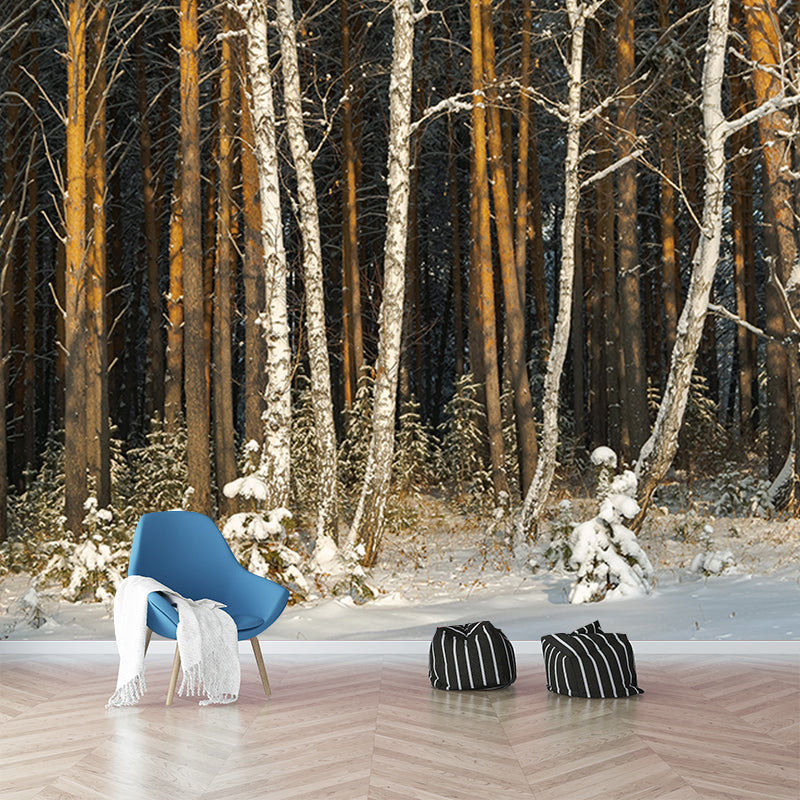 Winter Forest Landscape Mural Wallpaper for Home Decoration, Moisture Resistant