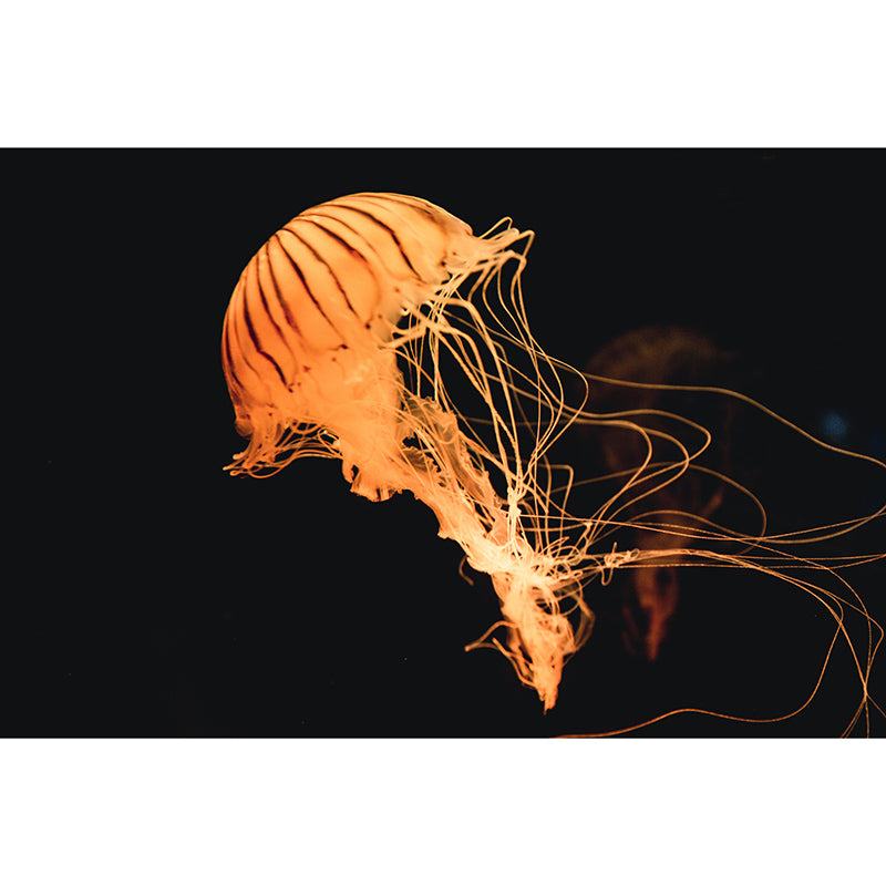 Tropical Seabed Stain-Resistant Mural Contemporary Wall Art for Sleeping Room