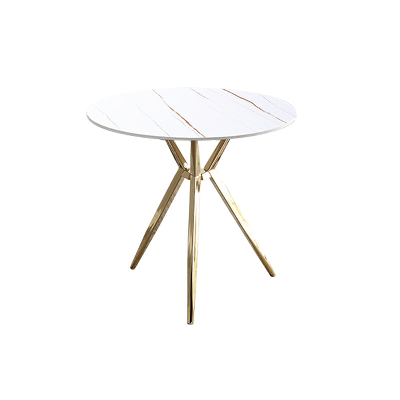 Modern Style Round Dining Table Sintered Stone Table with Metal Base for Home Use