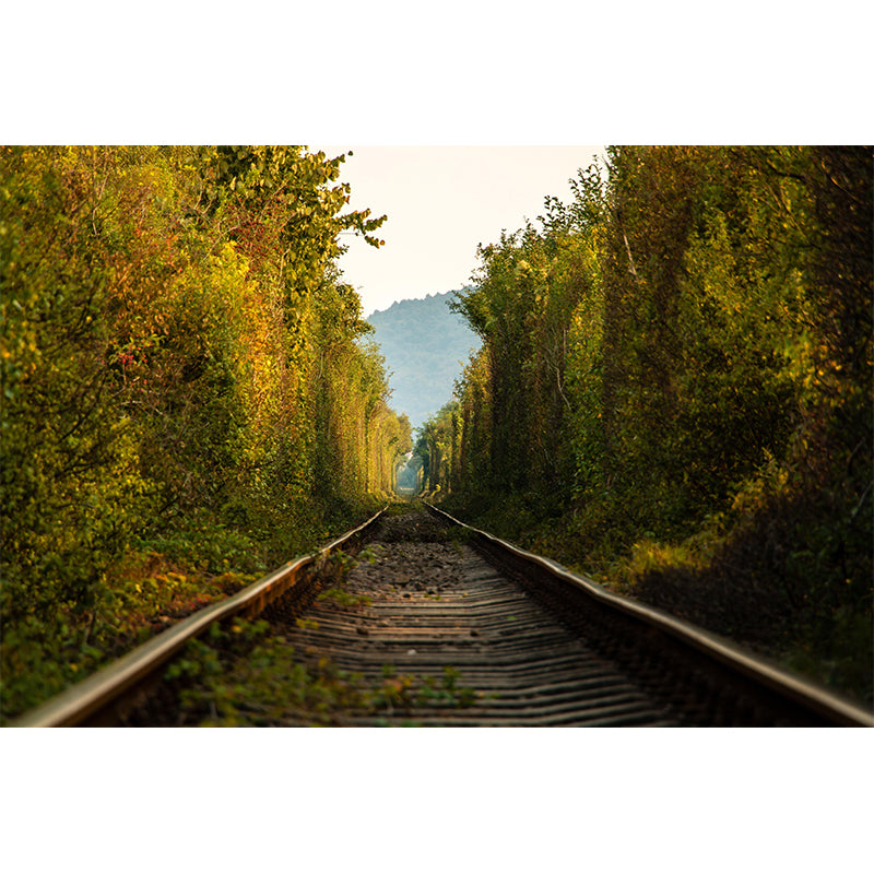 Modern Style Spatial Extension Mural Mildew Resistant Wallpaper for Home Decor