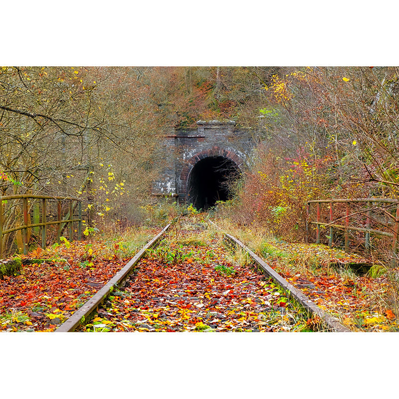 Customized Spatial Extension Mural Personalized Size Wall Covering for Room