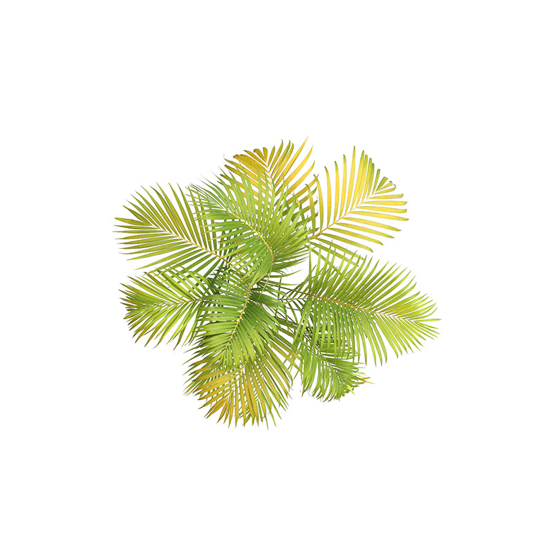 Tropical Leaves Plants Mural Modern Stain Resistant Wall Art for Living Room