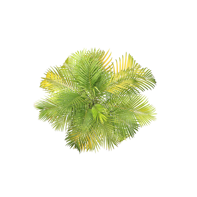 Customized Tropical Leaves Wall Mural Indoor Decoration Mural for Living Room