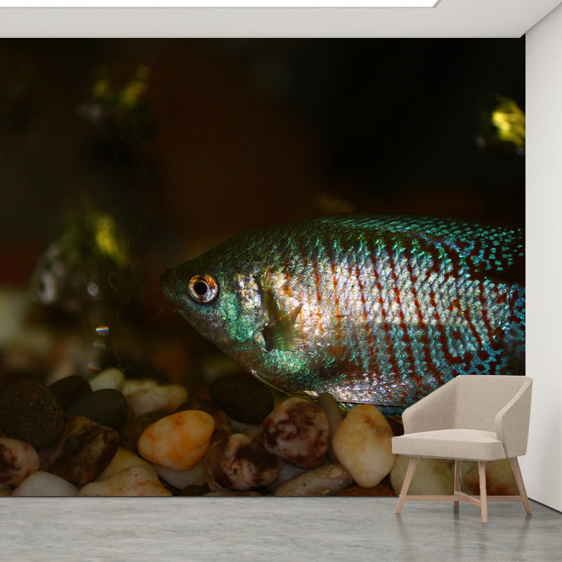 Photography Underwater Wall Mural Contemporary Decorative Wall Murals for Bedrooms
